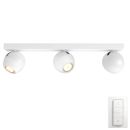 Philips Buckram Hue Bar/Tube White 3x5W 230V