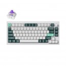Keychron Keyboard Q1 HE 75% White Gateron Magnetic Nebula Switches