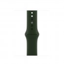 Apple Watch Band 40mm Cyprus Green