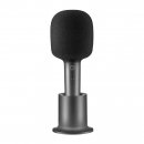 Xiaomi Microphone Karaoke Wireless