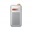 Fiio Portable Radio RR13 Silver